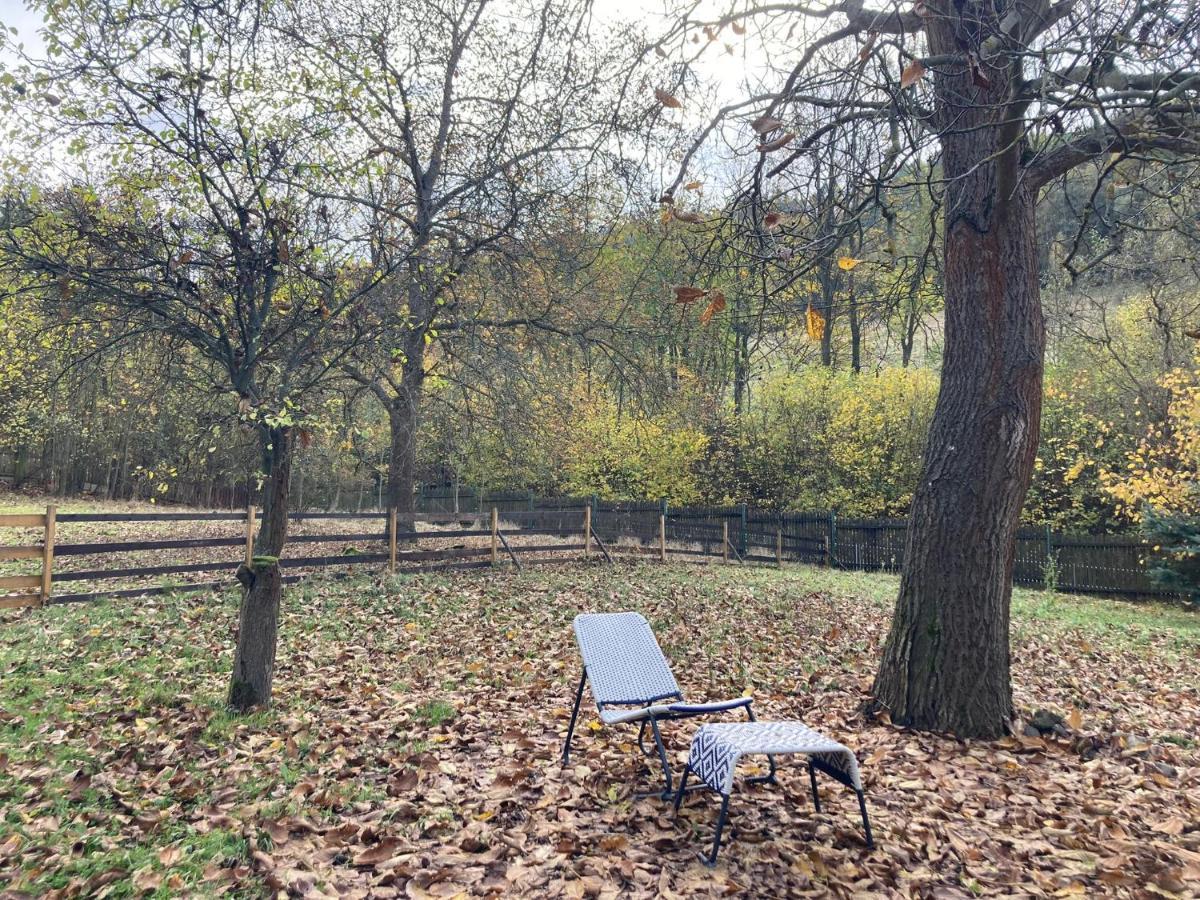 Na Bukovku Appartement Techlovice Buitenkant foto